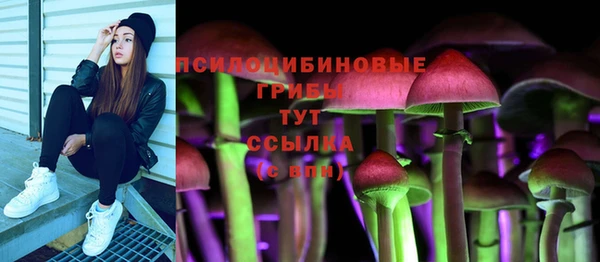 герыч Алзамай