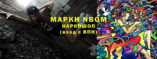 стаф Алексин