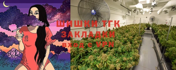 шишки Алексеевка