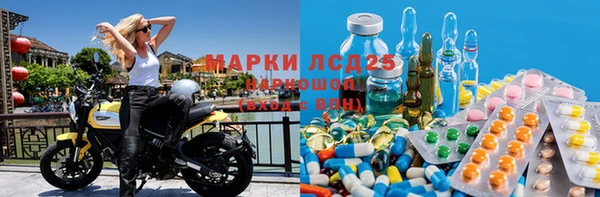 стаф Алексин