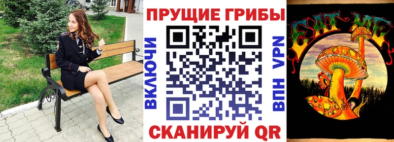 МЕГА сайт  закладки  Ликино-Дулёво  Псилоцибиновые грибы Psilocybe 